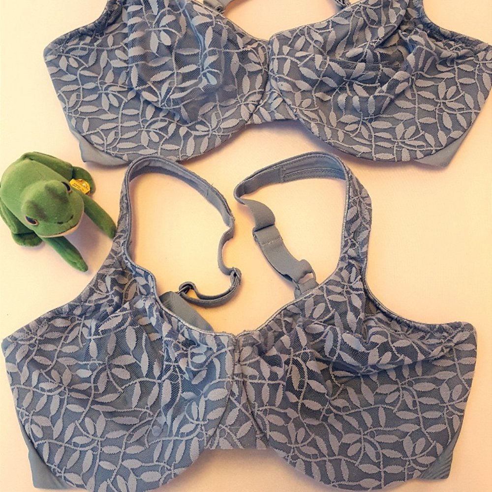 TWO Olga Sheer Leaves underwire minimizer bra 38DD